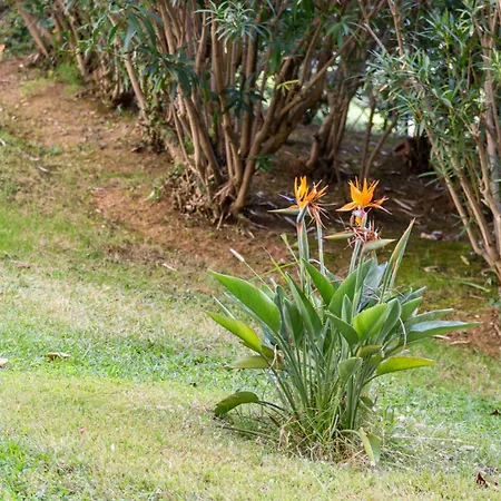 Magniolias - Calme Avec Piscine, Tennis & Jardin Διαμέρισμα Αντίμπ