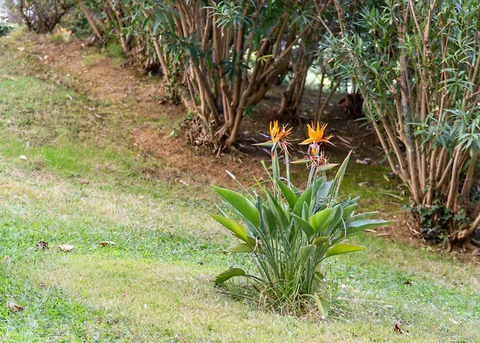 Magniolias - Résidence Calme Avec Piscine, Tennis&jardin Appartement Antibes